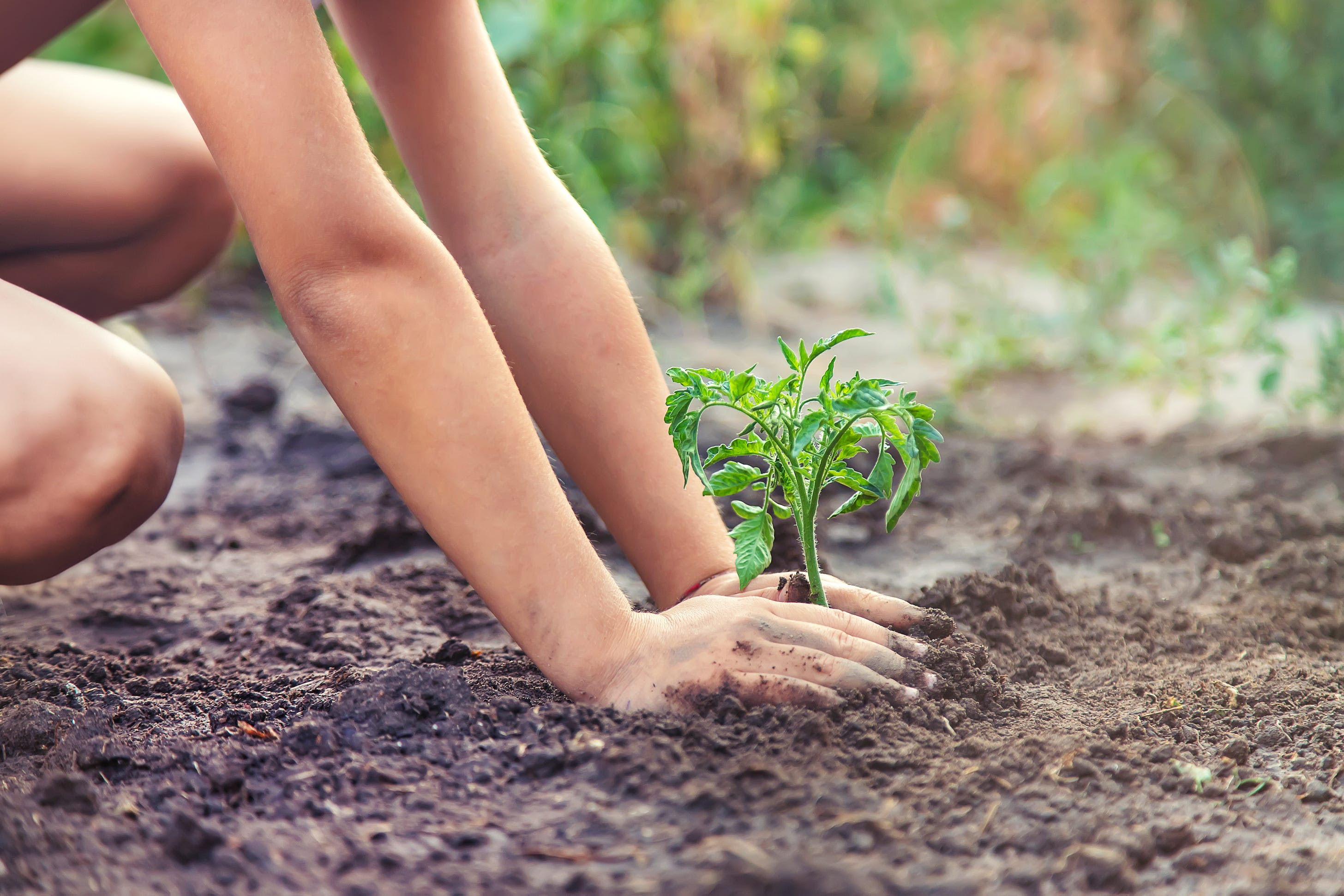 Νaked gardening folklore